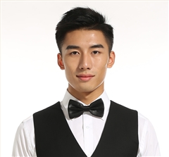 男士職業(yè)裝領(lǐng)結(jié)