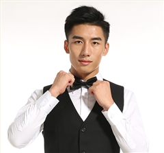 男士職業(yè)裝領(lǐng)結(jié)