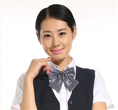 女士職業(yè)裝領(lǐng)結(jié)