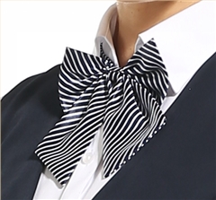 女士職業(yè)裝領(lǐng)結(jié)