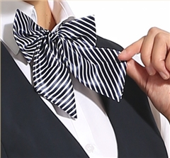 女士職業(yè)裝領(lǐng)結(jié)