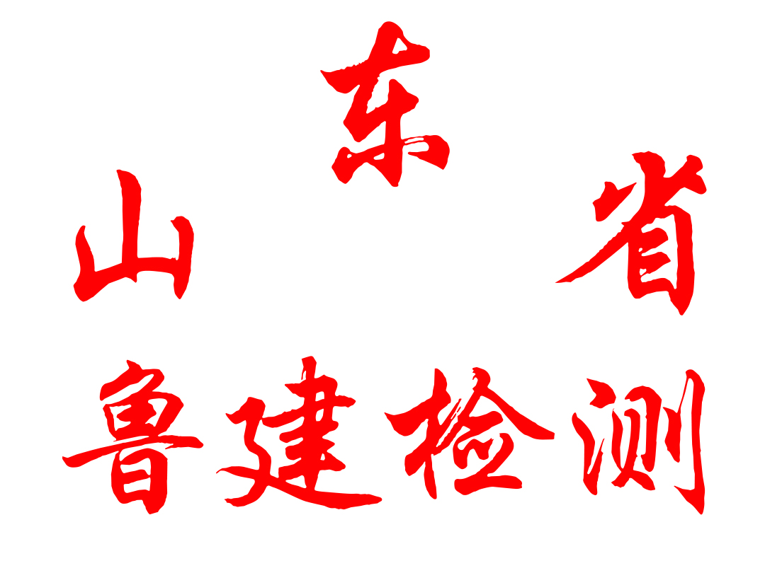 Polo衫定制案例-山東魯建檢測(cè)