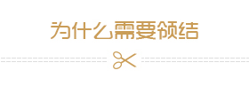 為什么需要領(lǐng)結(jié)